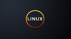 Linux completa 25 anos