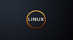 Linux completa 25 anos