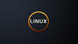 Linux completa 25 anos