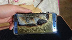 Donos de Galaxy Note 7 dizem que Samsung se recusa a pagar por prejuízos Donos de Galaxy Note 7 dizem que Samsung se recusa a pagar por prejuízos