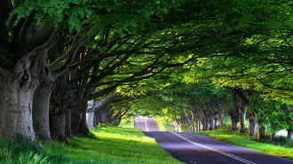 Túnel Verde.