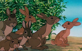 WATERSHIP DOWN