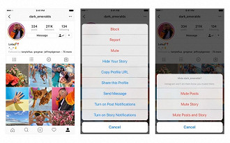 Você pode escolher por silenciar somente os posts, somente as histórias ou os dois. 