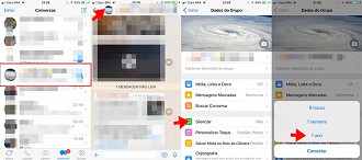 Como silenciar um grupo no WhatsApp?