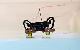 Robô da Harvard é capaz de nadar e andar sobre a água. O pequeno robô é do tamanho de uma moeda. No futuro, ele deve ser aprimorado.