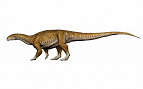 Fósseis de primeiro dinossauro gigante são descobertos na Argentina
