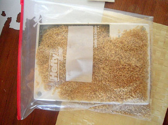 Mantenha o notebook no arroz para secar internamente