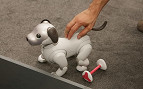Sony lança cachorro-robô nos EUA por valor salgado Sony lança cachorro-robô nos EUA por valor salgado