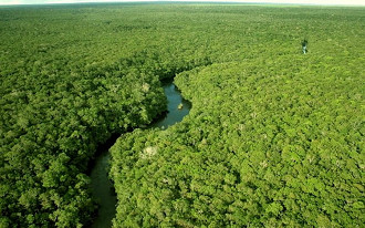 Drones colaboram na detecção e mapeamento da vida indígena na Amazônia.