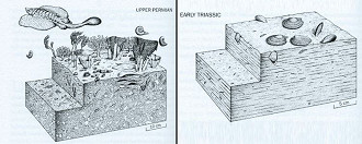 Antes e depois da extinção do 