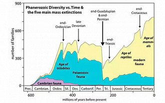 Geralzão das extinções que vamos ver em detalhes abaixo