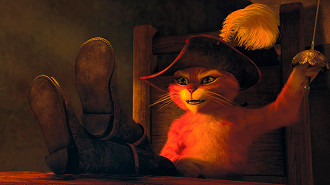 Gato de Botas Gato de Botas