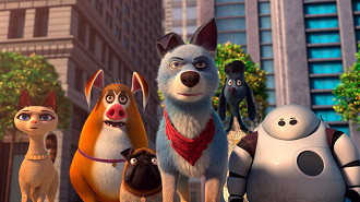 Pets Unidos Pets Unidos