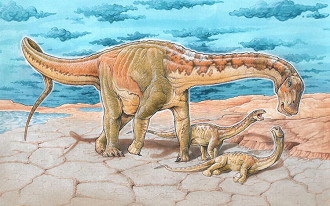 Novas espécies de dinossauro são descobertas em Neuquén, na Patagônia.