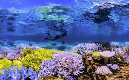 Filmes com documentários para ver na Netflix 