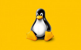 Como escolher a melhor versão do Linux para iniciantes em 2019?