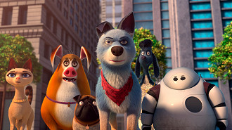 Pets Unidos Pets Unidos