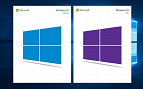 Windows 10 Home ou Pro: Qual a melhor versão do sistema operacional da Microsoft?