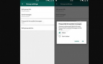 escolha permitir que os participantes enviem menssagens encaminhadas com frequência para esse grupo