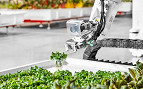 Startup voltada para robôs especializados em agricultura começa a vender seus produtos na Califórnia