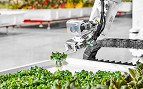 Startup voltada para robôs especializados em agricultura começa a vender seus produtos na Califórnia Startup voltada para robôs especializados em agricultura começa a vender seus produtos na Califórnia