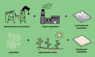Enquanto o isopor convencional é feito a partir do petróleo, a Embalagem de Cogumelo é feita de fungos
