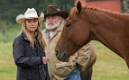 Séries e temporadas adicionadas na Netflix em abril de 2019