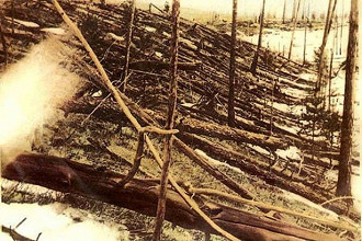 Foto histórica dos danos em Tunguska (1929)