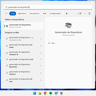 Gerenciador de Dispositivos no Windows 11