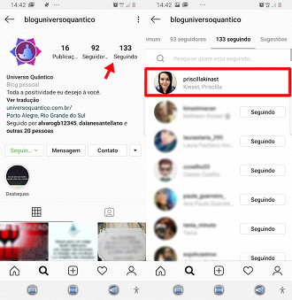 Instagram seguindo