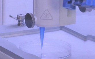 Cientistas conseguem produzir, através de impressão 3D, pele viva com vasos sanguíneos