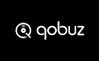 Como assinar o Qobuz mesmo não estando disponível no Brasil