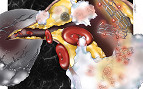 Nanopartículas prometem revolucionar o tratamento de doenças cardiovasculares Nanopartículas prometem revolucionar o tratamento de doenças cardiovasculares