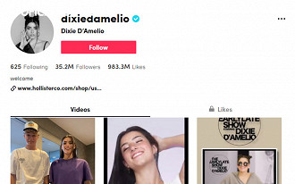 Perfil Dixie D Perfil Dixie D