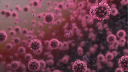 Dengue, influenza e COVID-19: epidemias simultâneas ameaçam colapsar sistema de saúde Dengue, influenza e COVID-19: epidemias simultâneas ameaçam colapsar sistema de saúde