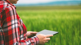 Pioneer lança nova ferramenta de identificação de pragas em seu app