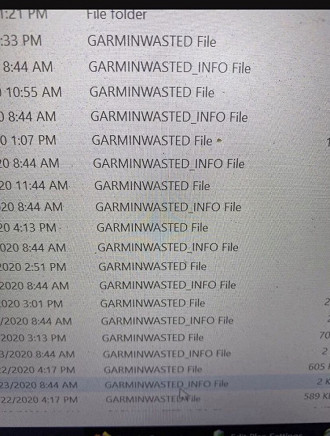 Captura de tela dos arquivos da Garmin que foram criptografados. Fonte: bleepingcomputer
