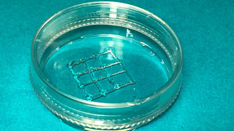 Bioimpressão de gel. Fonte: Wenxiang Zhao