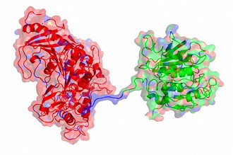 Ligação da enzima PETase com a enzima MHETase para a degradação do plástico PET. Fonte:  University of Portsmouth