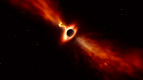 Telescópios registram buraco negro engolindo estrela