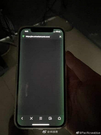 Bordas verdes no iPhone 12. Foto: Reprodução/Créditos na imagem.