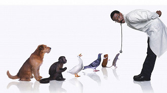 Dr. Dolittle