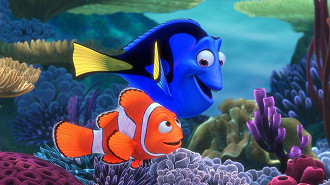 Procurando Nemo