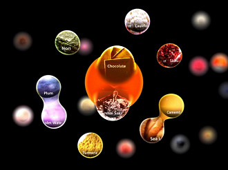 Imagem conceito do aplicativo que está sendo desenvolvido pelo projeto Gastronomy Flagship. Fonte: Sony AI
