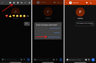 Apagar mensagem para todos. Foto: Printscreen por Lucas Ribeiro.