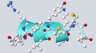 Um modelo computacional de um dos novos peptídeos antimicrobianos criados pela nova IA da IBM. Fonte: IBM Research