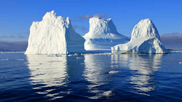 Galhos e folhas provam que a Groenlândia era área florestal antes da Era do gelo Galhos e folhas provam que a Groenlândia era área florestal antes da Era do gelo