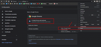 Verifique se o Chrome está atualizado. (Foto: Printscreen por Lucas Ribeiro).