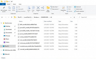 Pasta OEMDRIVERS aberta. Fonte: windowslatest
