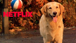 5 Filmes com cachorros para assistir na Netflix